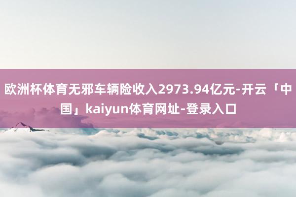 欧洲杯体育无邪车辆险收入2973.94亿元-开云「中国」kaiyun体育网址-登录入口