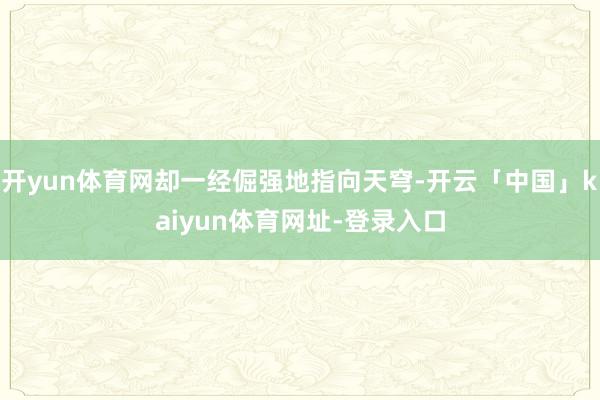 开yun体育网却一经倔强地指向天穹-开云「中国」kaiyun体育网址-登录入口