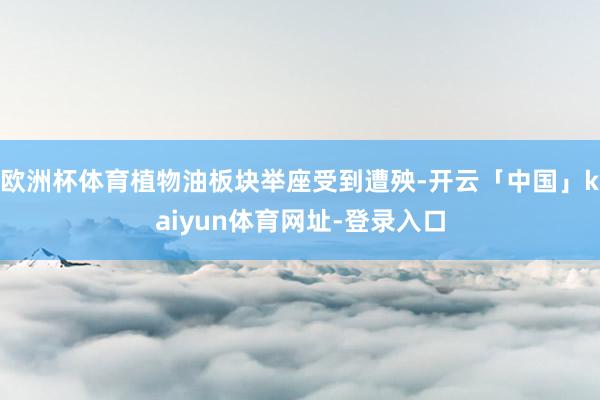 欧洲杯体育植物油板块举座受到遭殃-开云「中国」kaiyun体育网址-登录入口