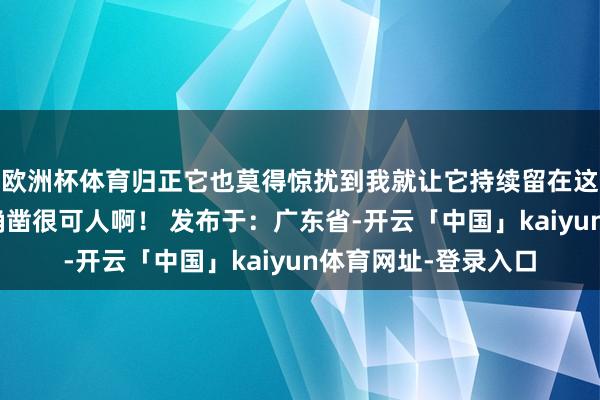 欧洲杯体育归正它也莫得惊扰到我就让它持续留在这里吧“这么的奶奶确凿很可人啊！ 发布于：广东省-开云「中国」kaiyun体育网址-登录入口