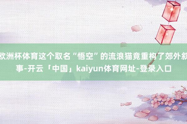 欧洲杯体育这个取名“悟空”的流浪猫竟重构了郊外叙事-开云「中国」kaiyun体育网址-登录入口
