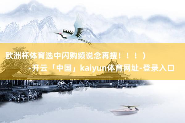 欧洲杯体育选中闪购频说念再搜！！！）                      -开云「中国」kaiyun体育网址-登录入口