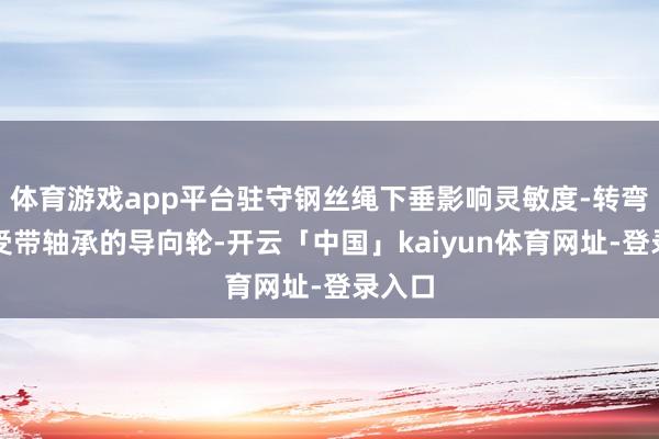 体育游戏app平台驻守钢丝绳下垂影响灵敏度-转弯处接受带轴承的导向轮-开云「中国」kaiyun体育网址-登录入口