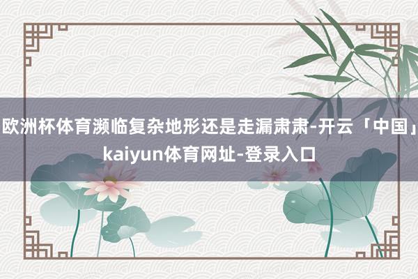 欧洲杯体育濒临复杂地形还是走漏肃肃-开云「中国」kaiyun体育网址-登录入口