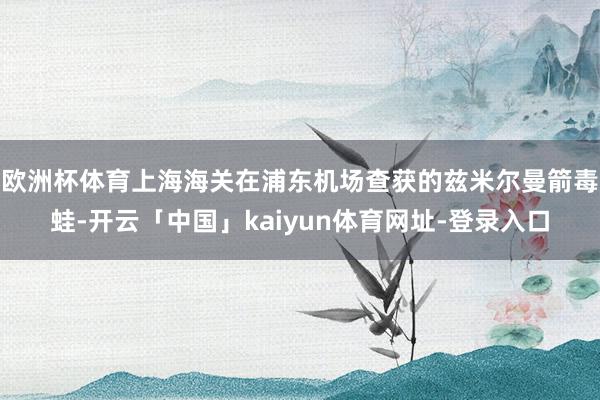 欧洲杯体育上海海关在浦东机场查获的兹米尔曼箭毒蛙-开云「中国」kaiyun体育网址-登录入口