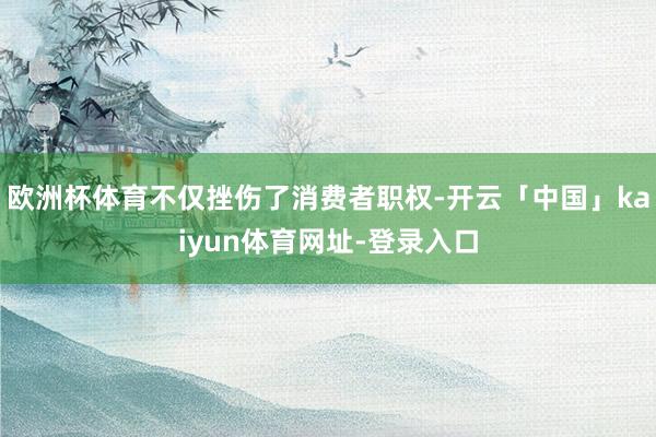 欧洲杯体育不仅挫伤了消费者职权-开云「中国」kaiyun体育网址-登录入口